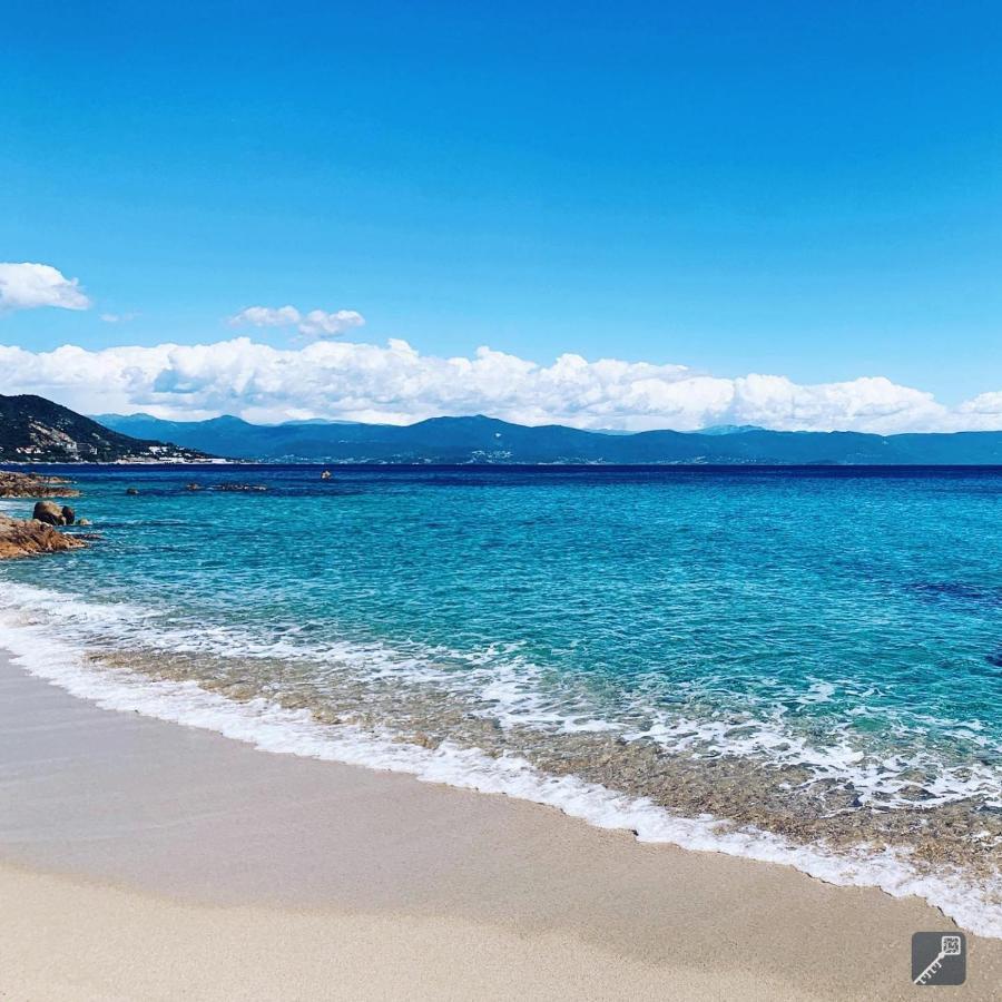 Evasion Corse - T2 Vue Mer, Piscine & Plage Ajaccio  Kültér fotó