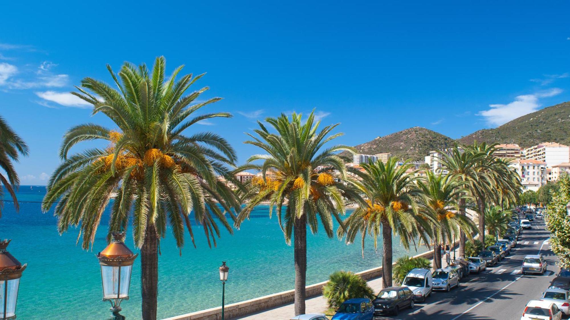 Evasion Corse - T2 Vue Mer, Piscine & Plage Ajaccio  Kültér fotó