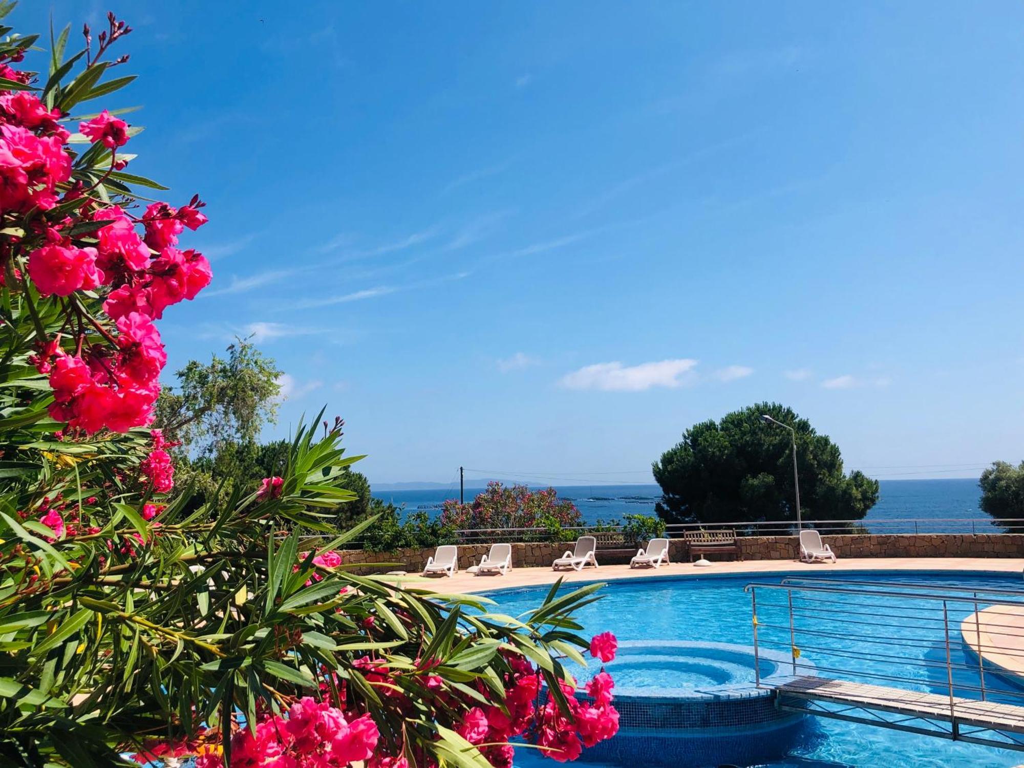 Evasion Corse - T2 Vue Mer, Piscine & Plage Ajaccio  Kültér fotó