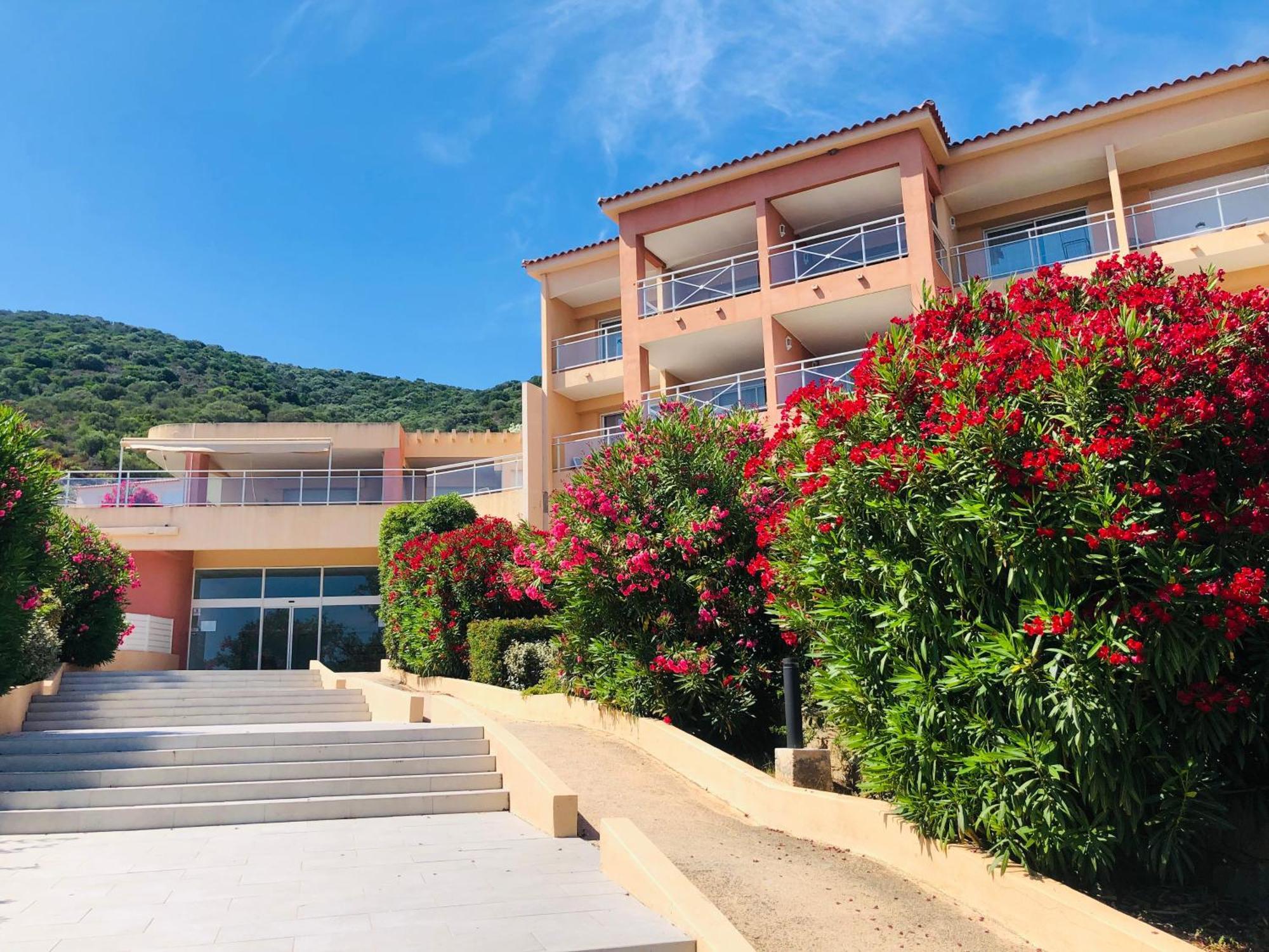 Evasion Corse - T2 Vue Mer, Piscine & Plage Ajaccio  Kültér fotó